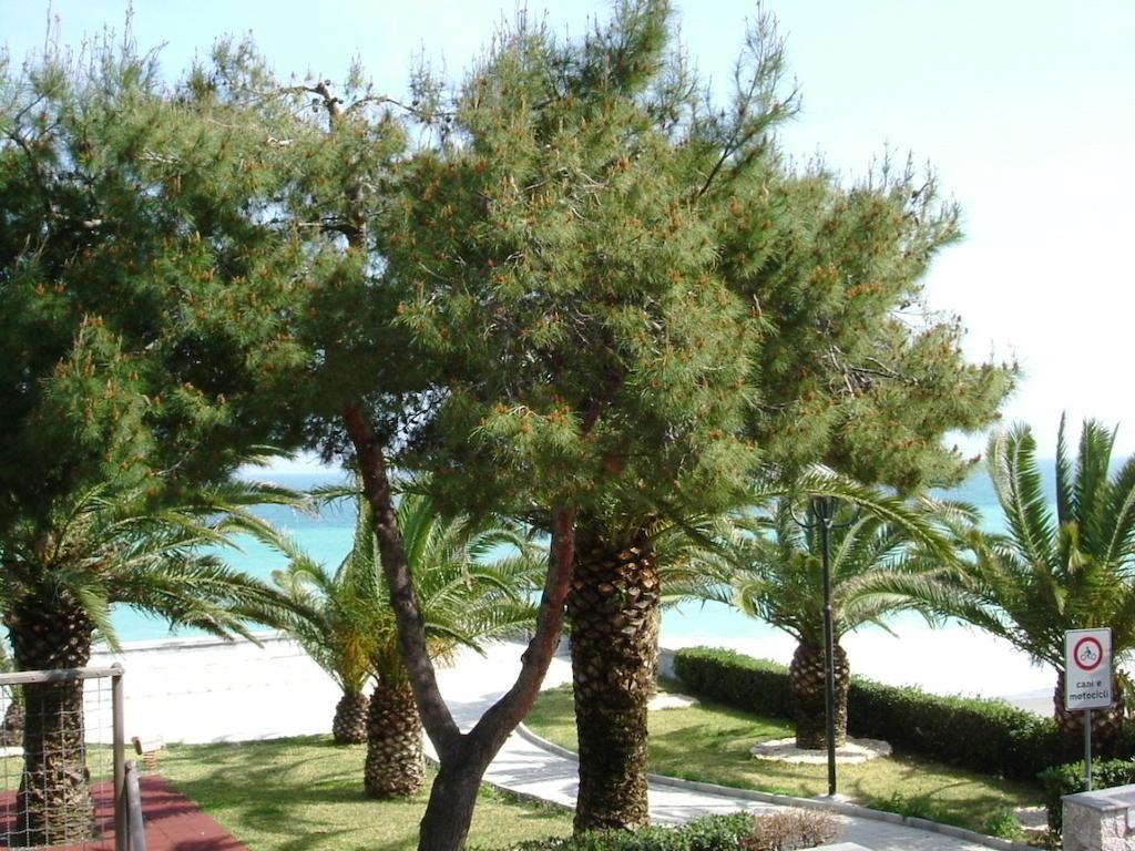 Taormina Beach House Mazzeo Pokój zdjęcie